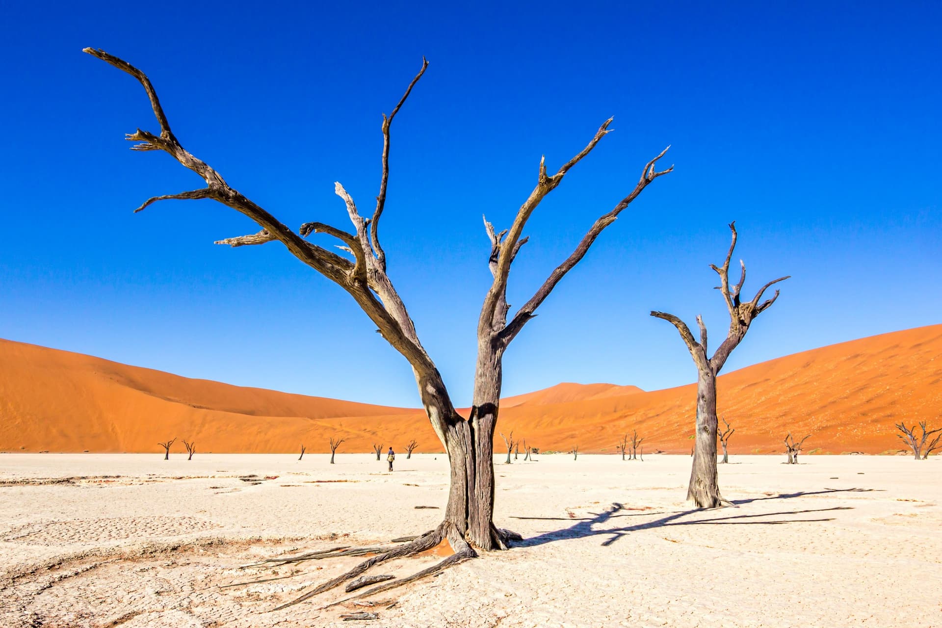 Nel cuore del deserto del Namib