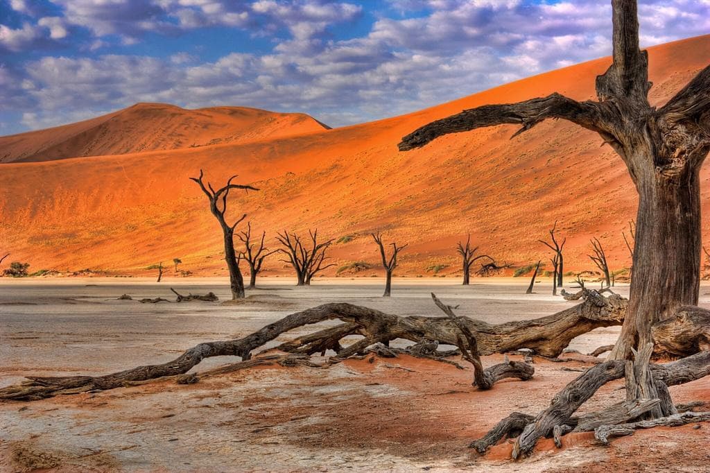Windhoek / Deserto del Namib