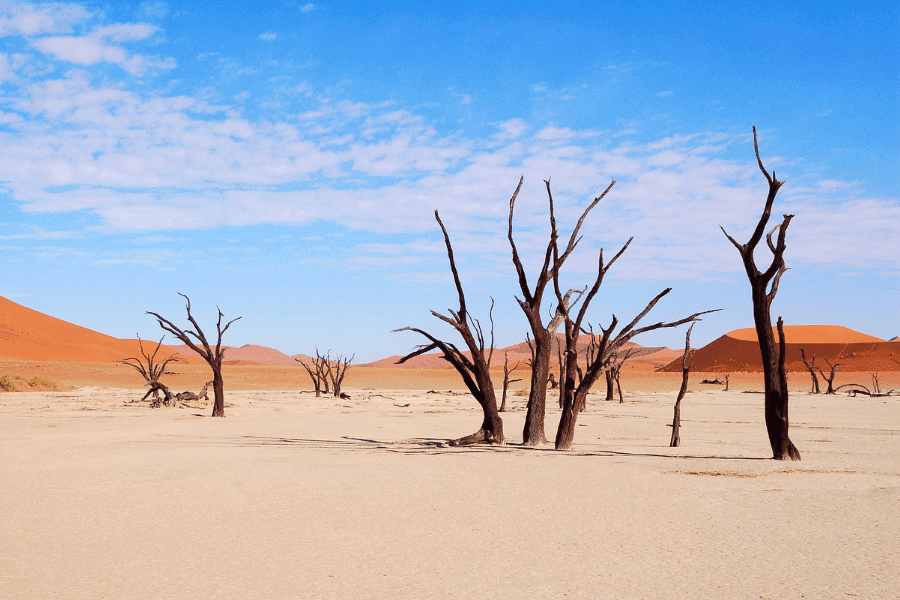 Deserto del Namib