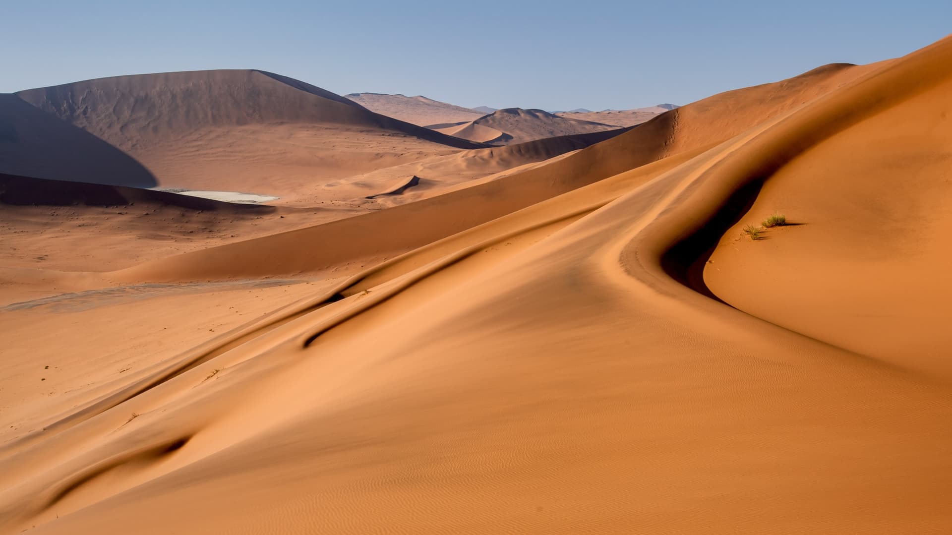 Windhoek / Deserto del Namib