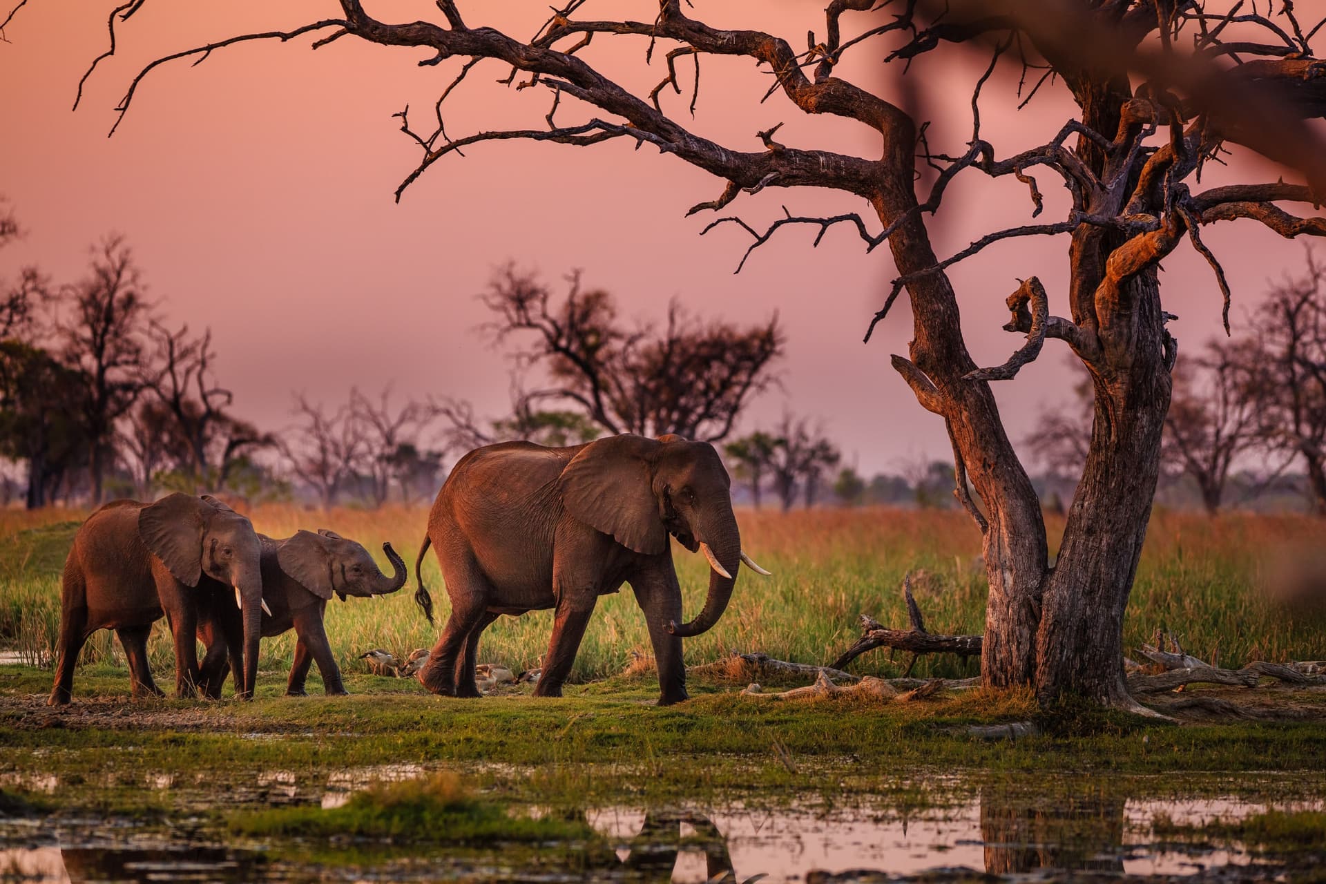 Alla scoperta dei bushmen e del Delta dell'Okavango