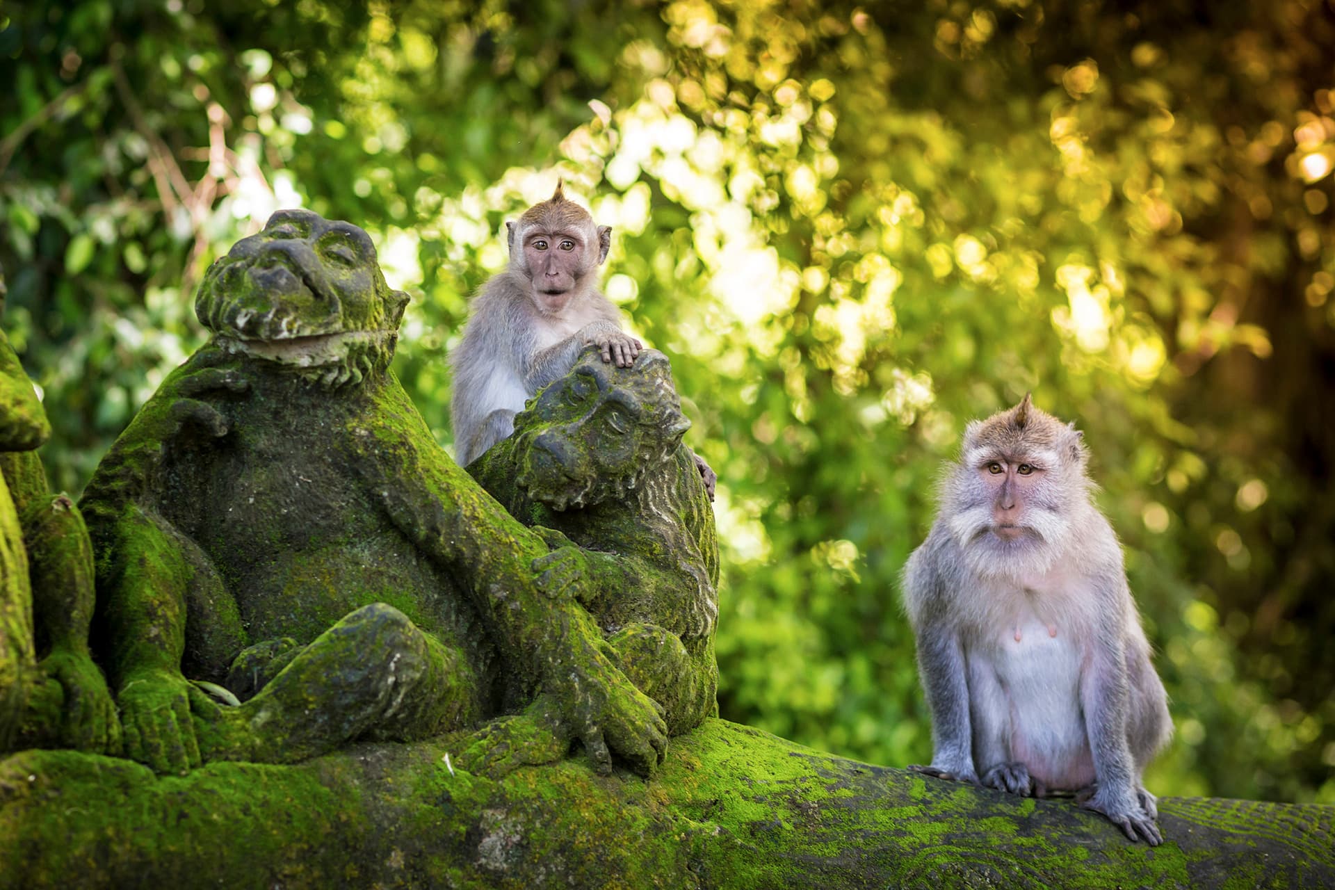 Jour 10