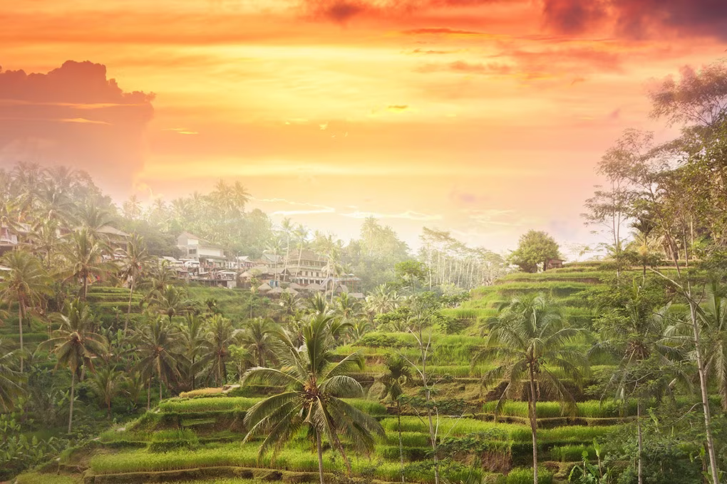 Nel cuore di Bali - 7 giorni