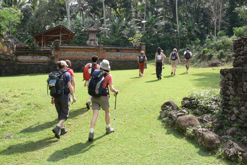 Passeggiata balinese & draghi di Komodo