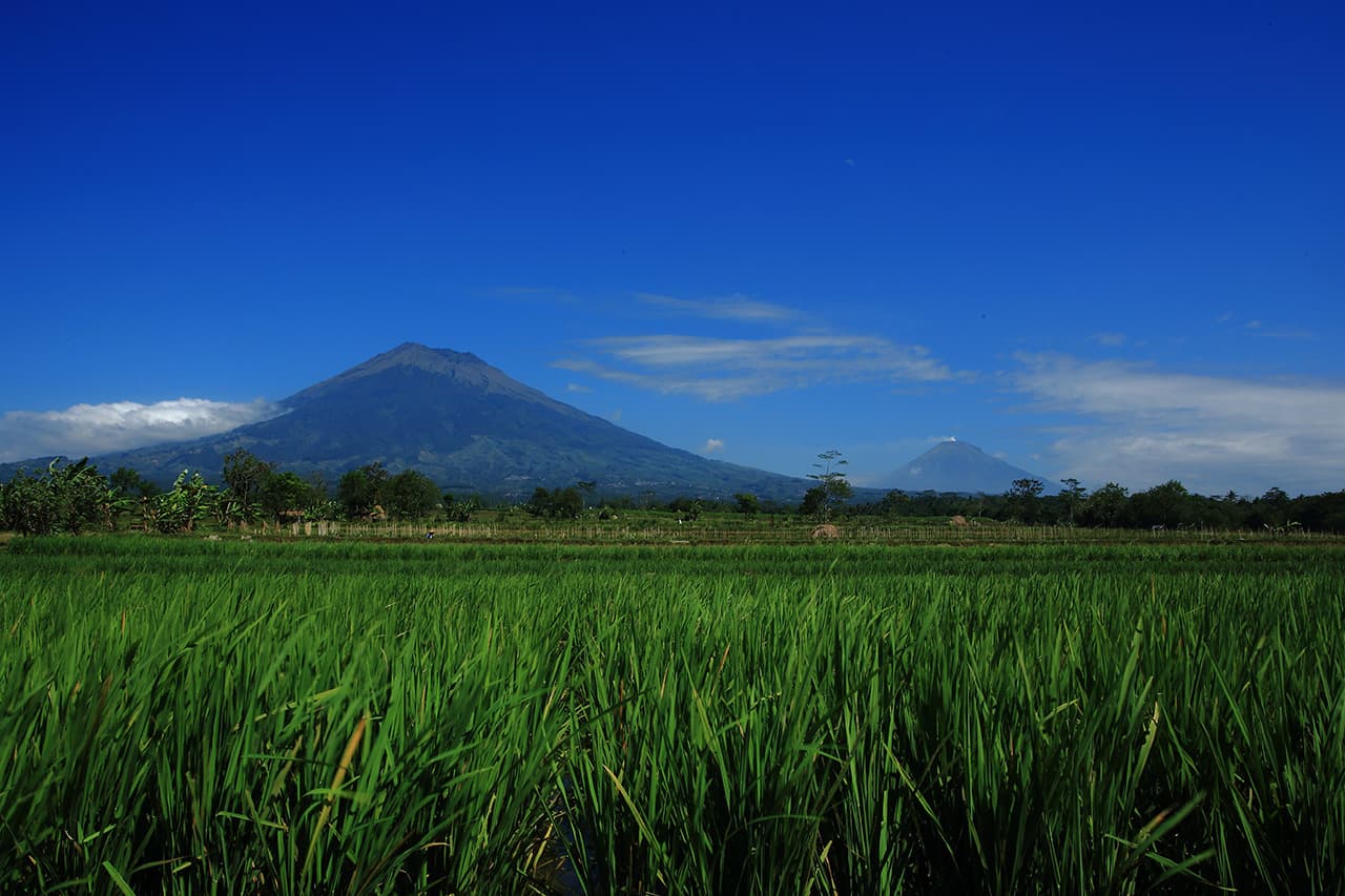 Yogyakarta intima: giornata "fuori dai sentieri battuti" (giro in macchina o scooter)