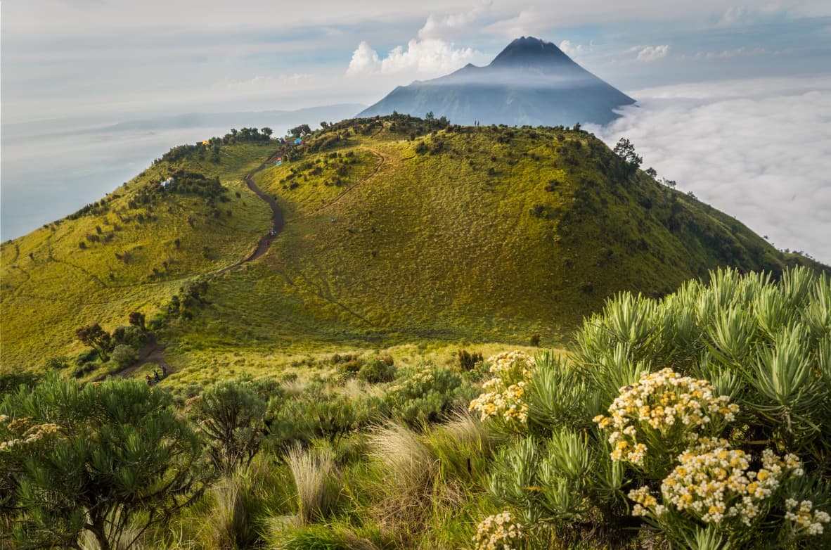 Merbabu: ascensione della "montagna di ceneri"