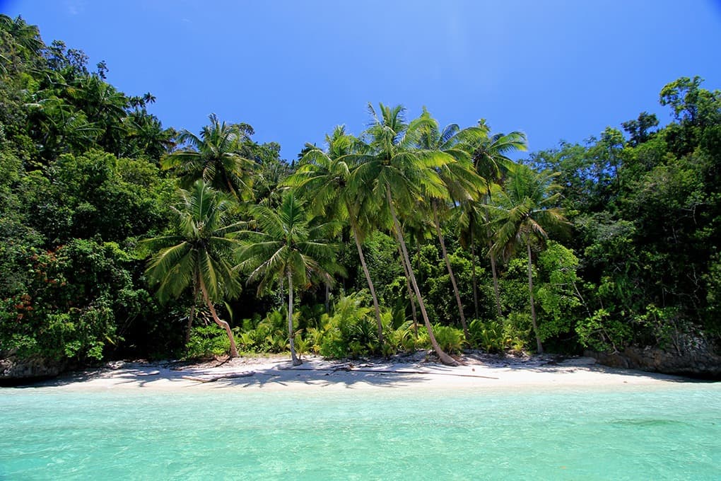 Merveilleuses Raja Ampat