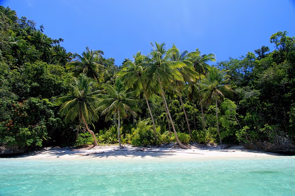 Meravigliose Raja Ampat