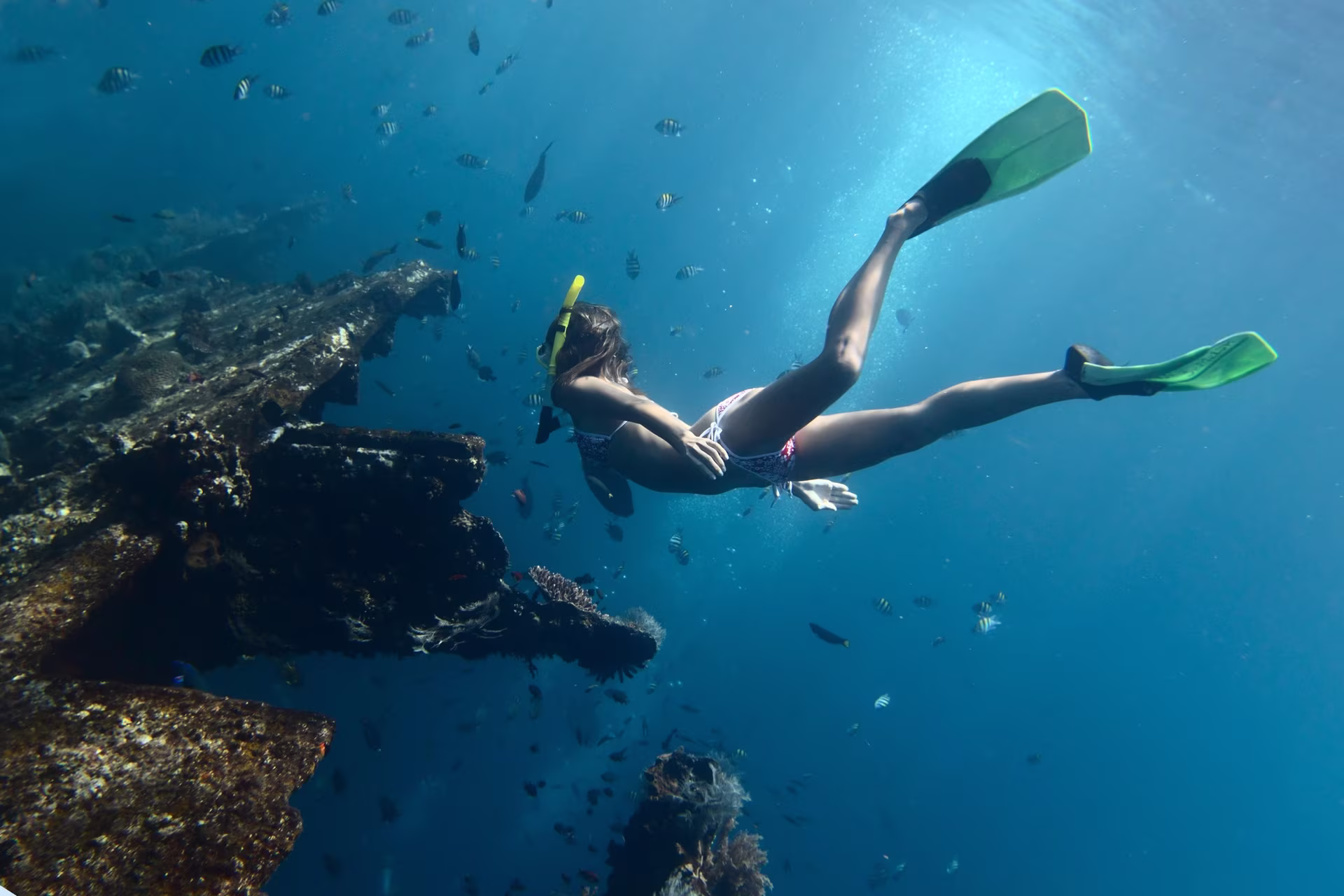 Immersione & Snorkeling a Tulamben / Amed