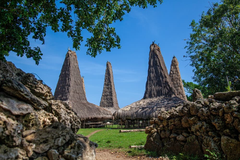 Sumba essenziale