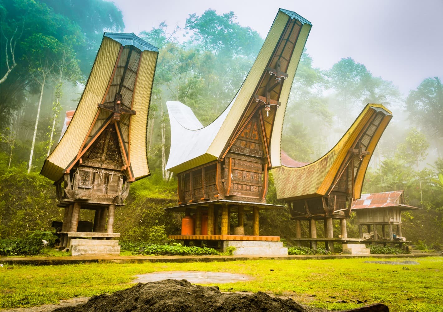 Trek e immersione tra i Toraja