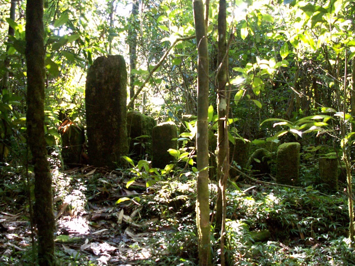 Fine del trekking nella foresta tropicale