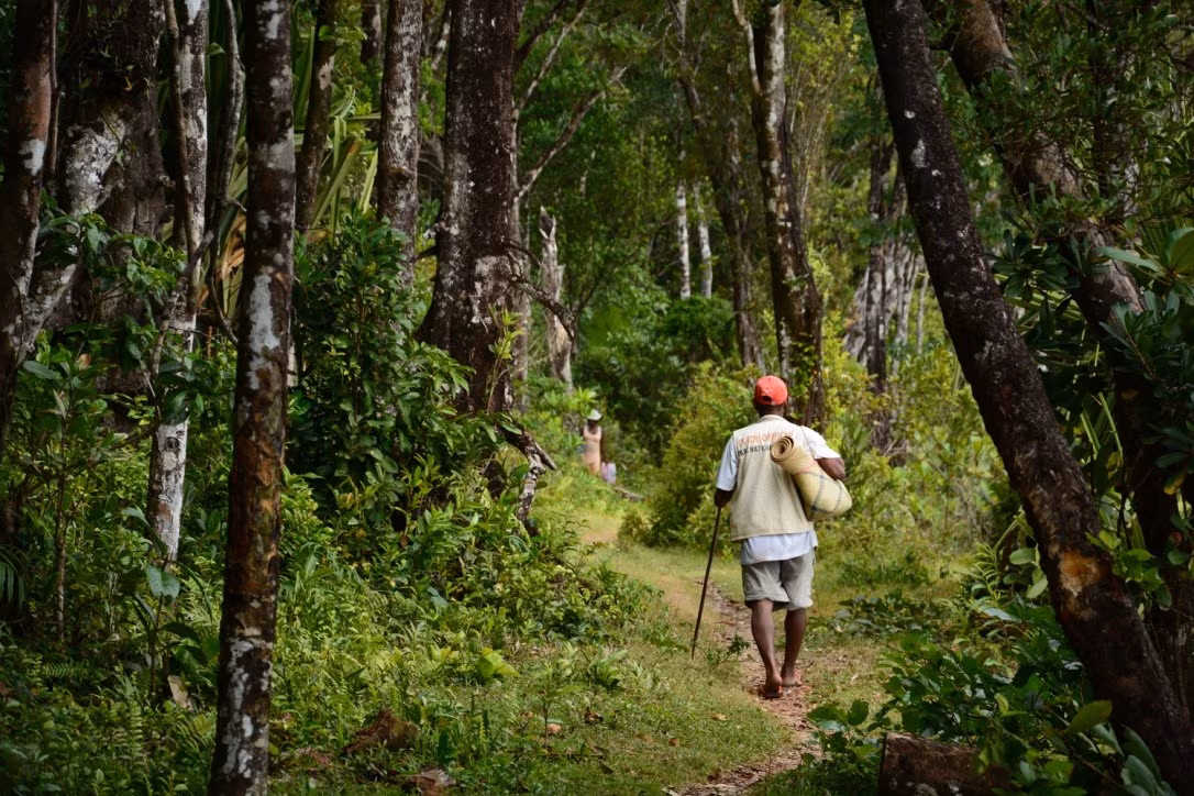 Escursioni straordinarie a Cape Masoala