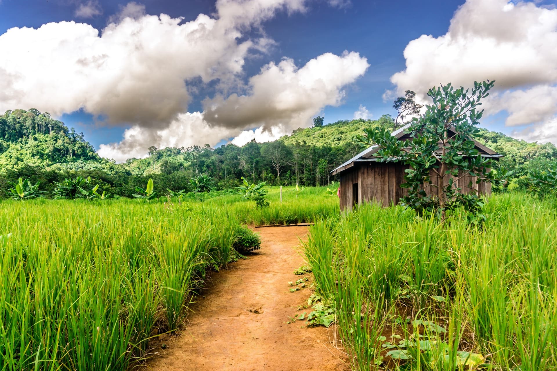La provincia di Mondulkiri