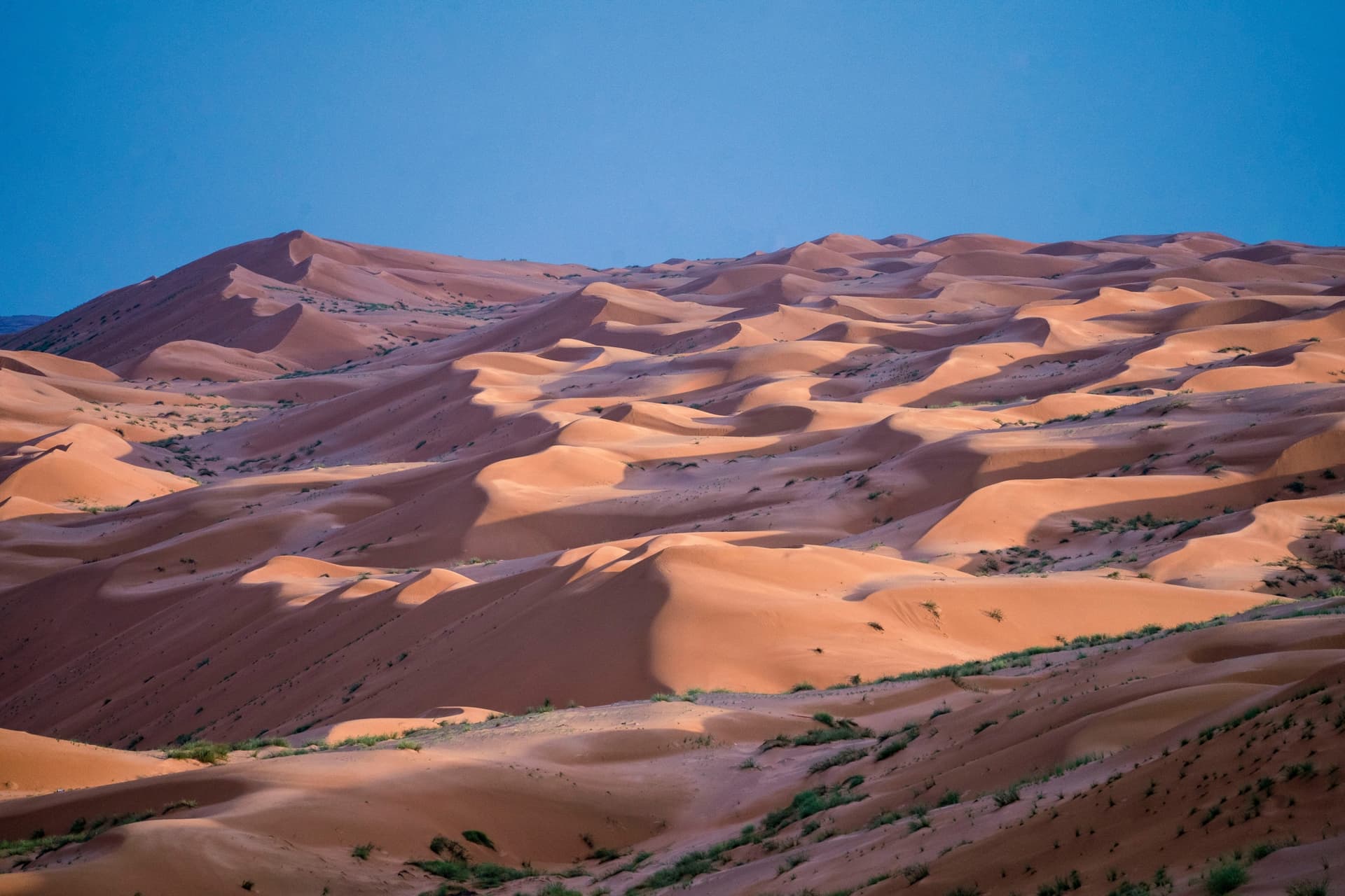 I colori di Oman