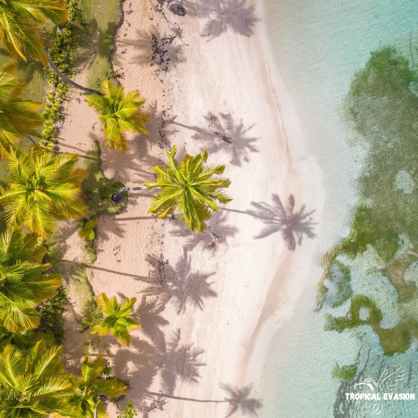 Bayahibe con dolcezza: 8 giorni tra mare, natura e cultura locale