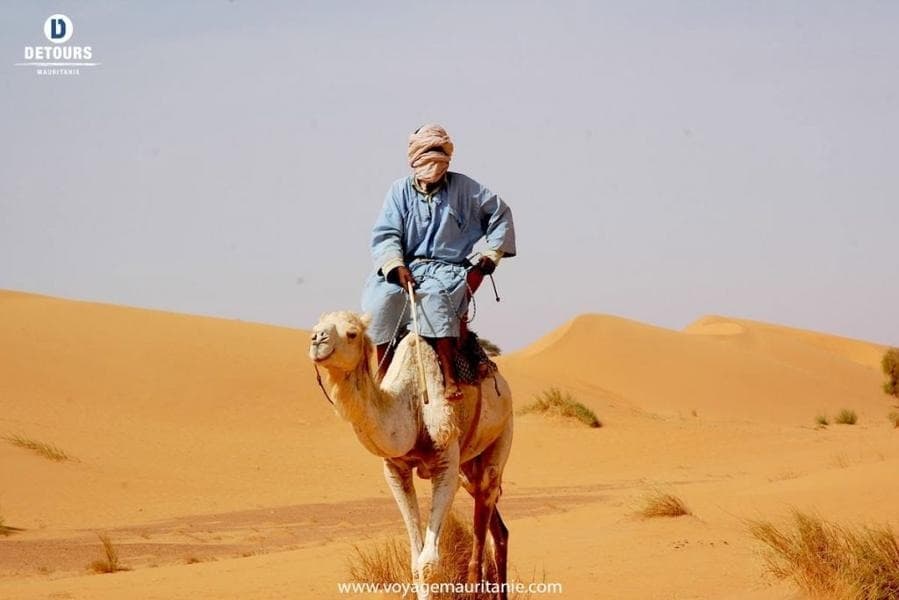 Viaggio in cammello nelle dune dell'Erg Warane e Chinguetti, variazioni nella sabbia