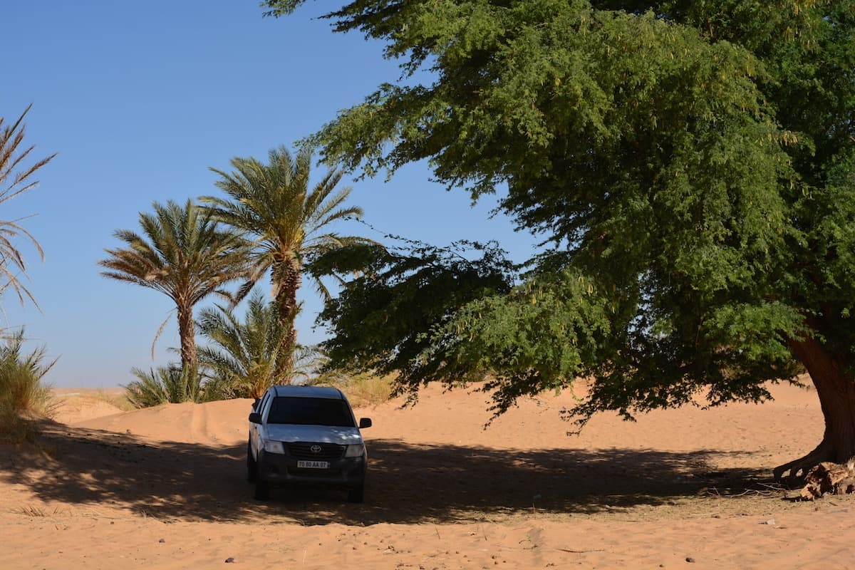 Splendori e misteri del nord della Mauritania