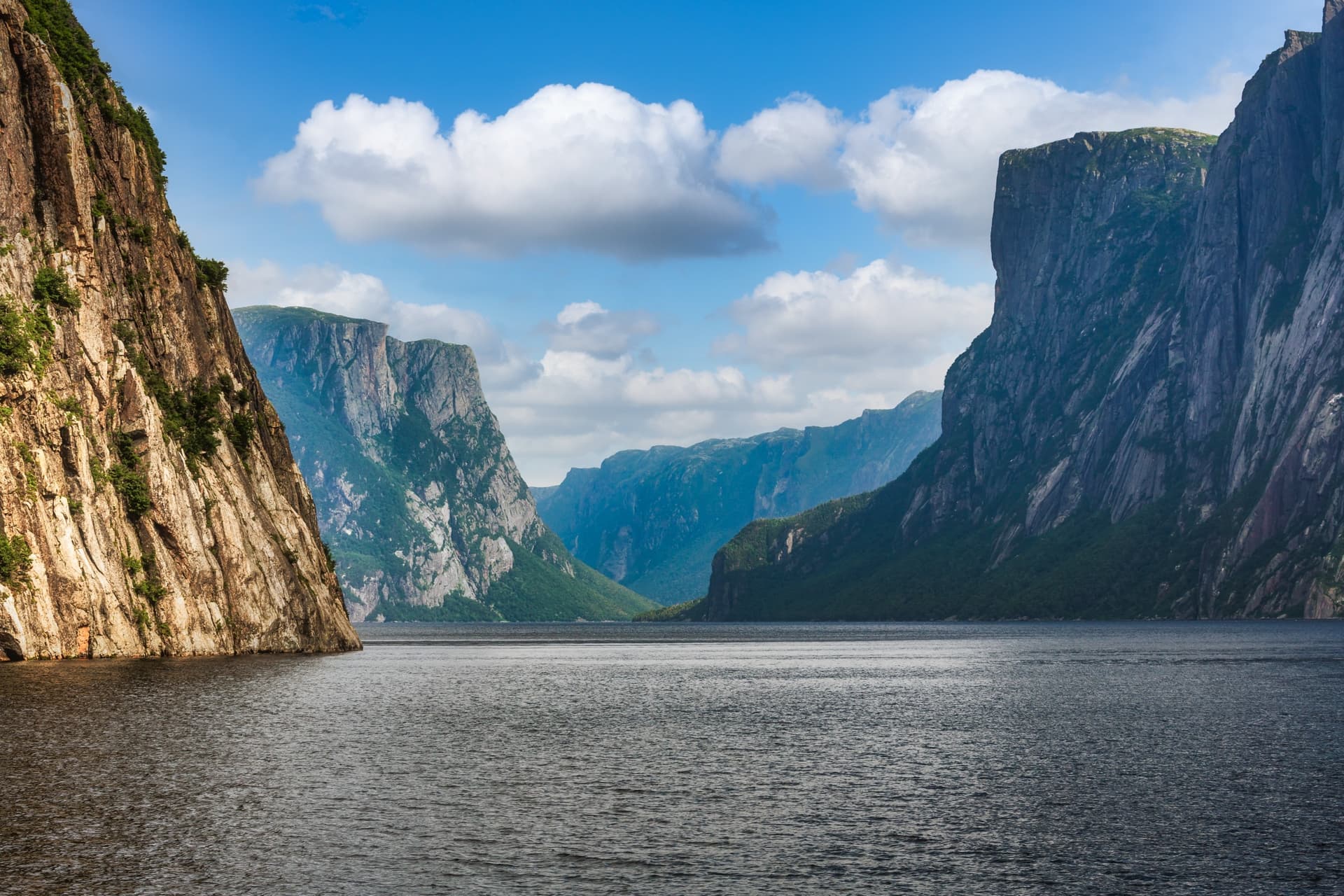 Misteriosa Terra Nova