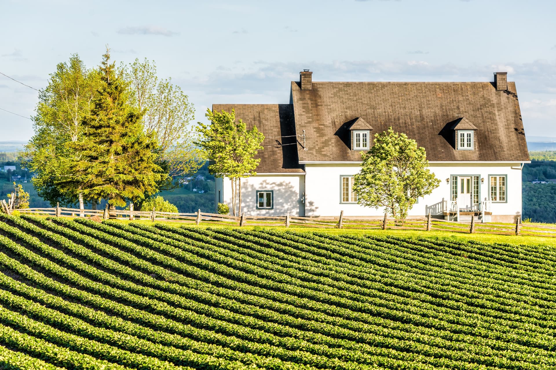 Québec authentique : itinéraire producteurs locaux & saveurs du terroir