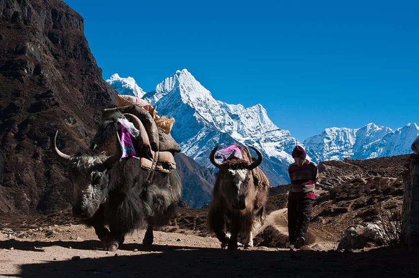 Namche Bazaar: la capitale dei Sherpa