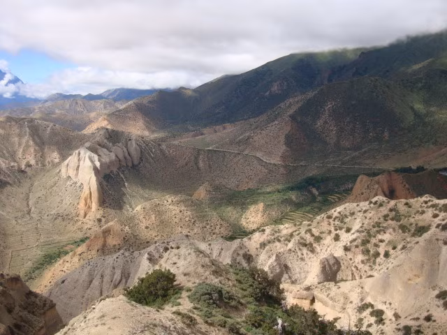 Il Mustang fuori dai sentieri battuti
