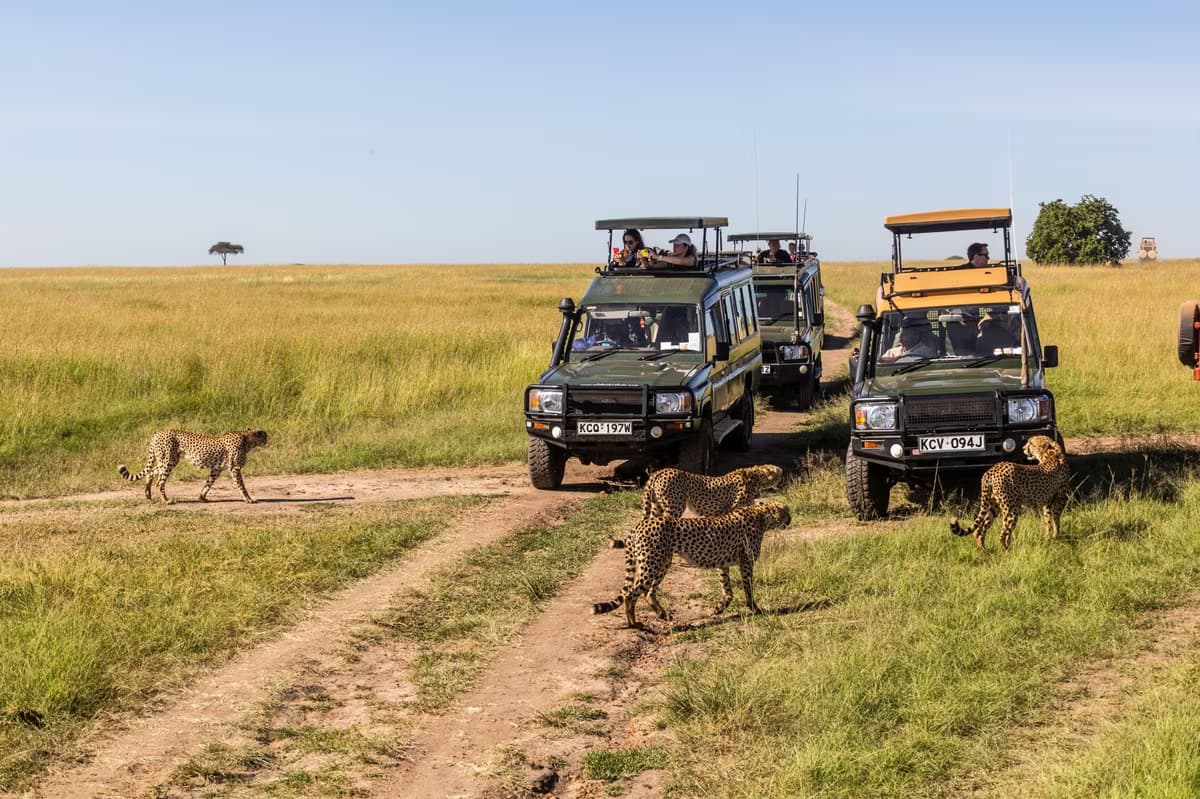 Safari nella terra dei Masai e spiaggia