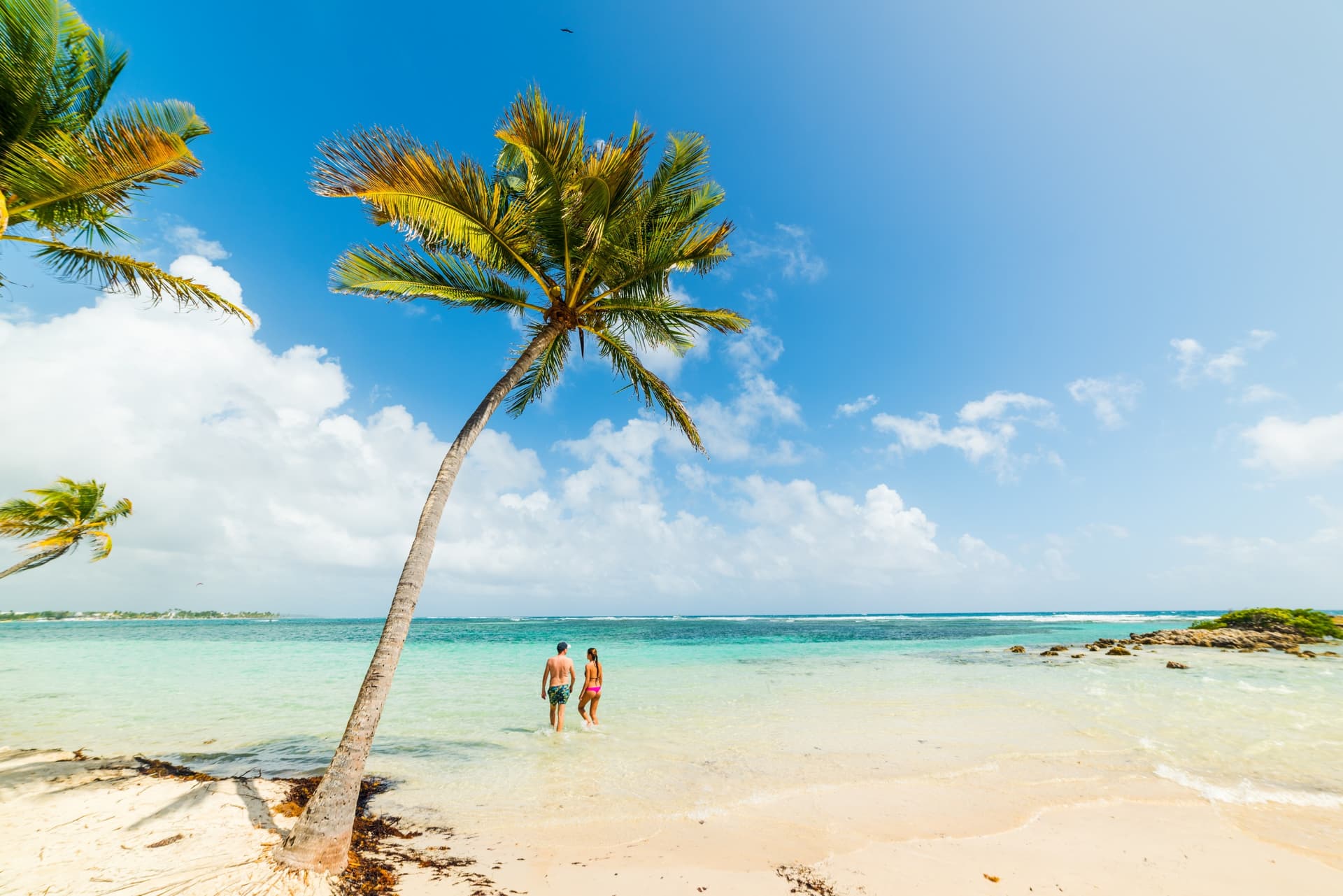 Guadeloupa-Dominica, fuga segreta per gli innamorati