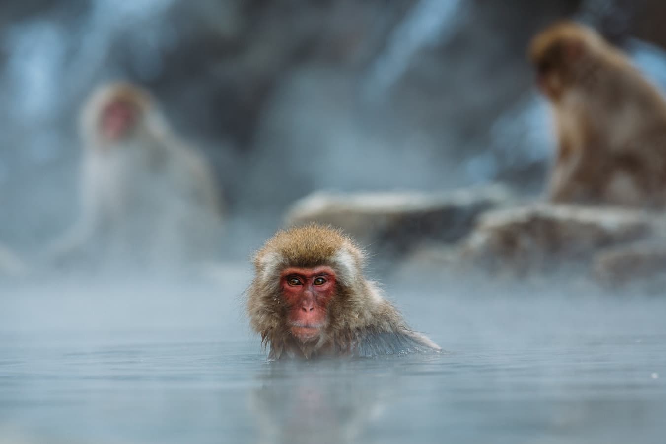 Obuse e Shibu Onsen, arte e stazioni termali