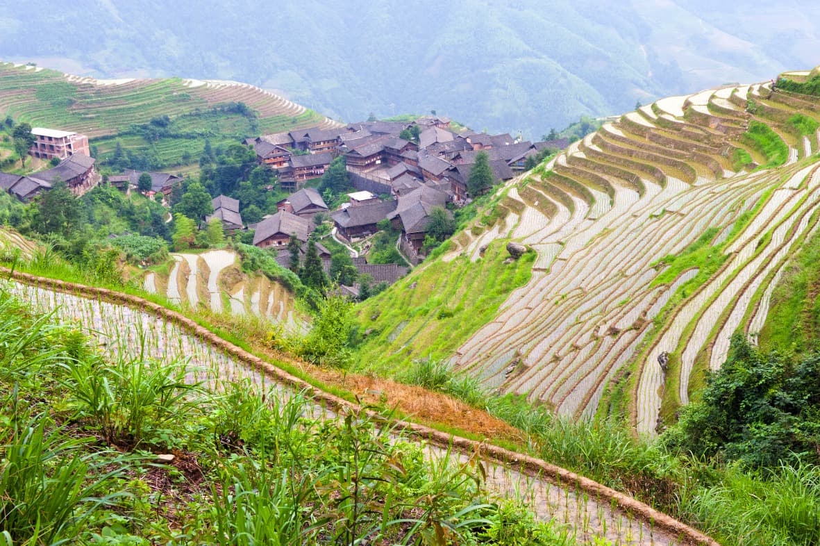 Gli Essenziali della Chine