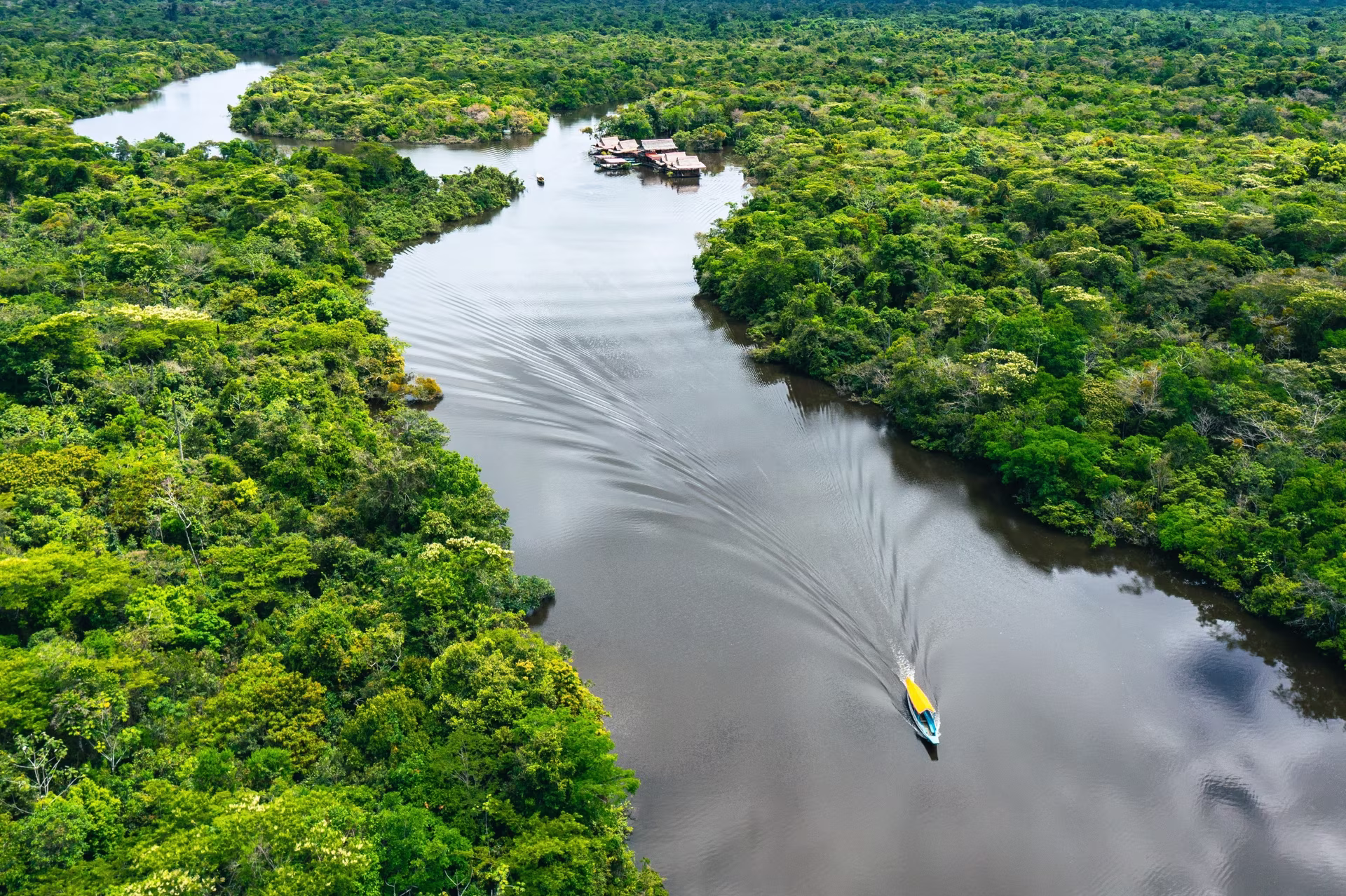 Crociera in Amazzonia