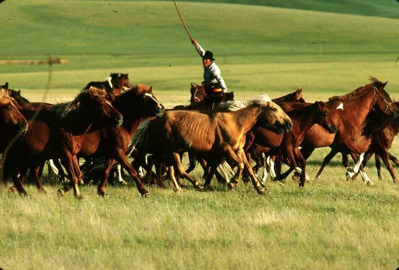 Meraviglie della Mongolia