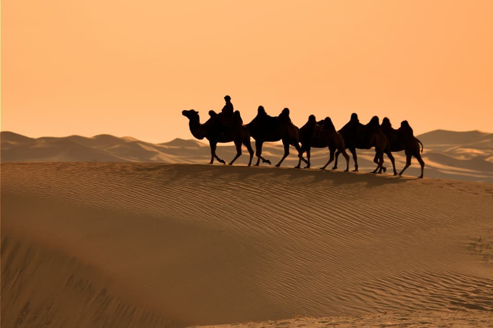 Le tre meraviglie del Gobi