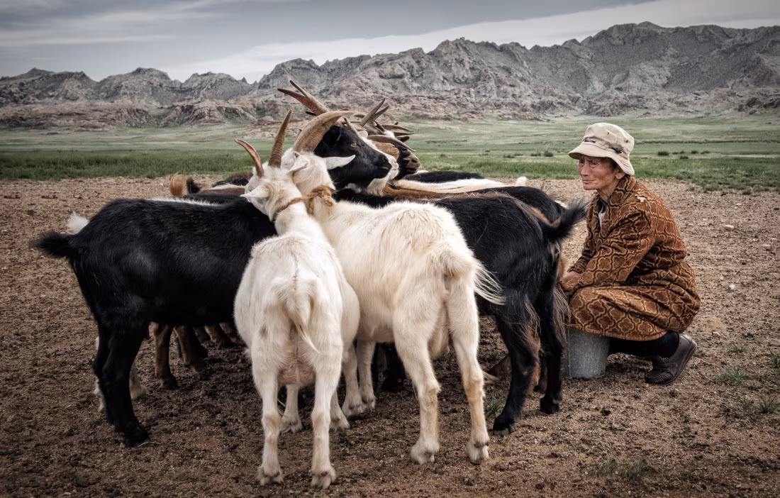 Vagabondaggio nella Mongolia centrale