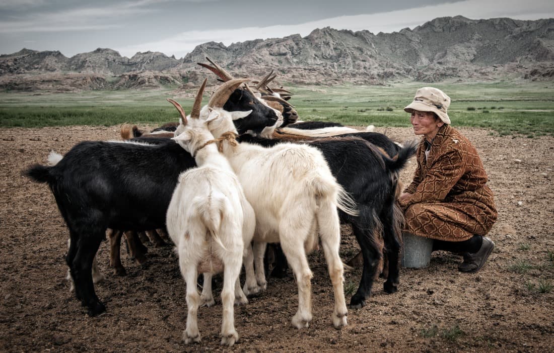 Vagabondaggio nella Mongolia centrale