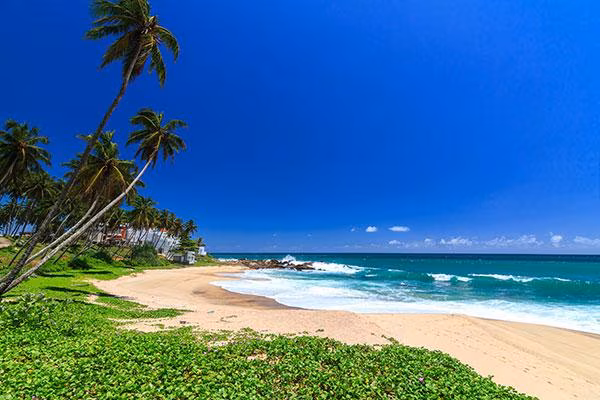 I segreti più gelosamente custoditi dello Sri Lanka