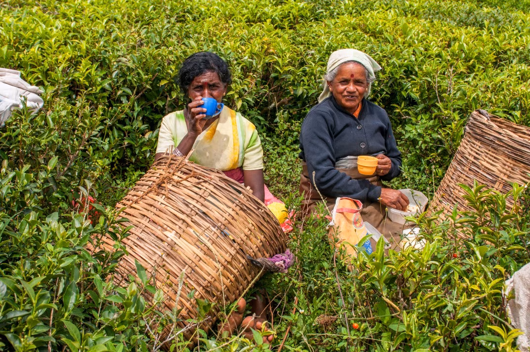 Lo Sri Lanka in Famiglia