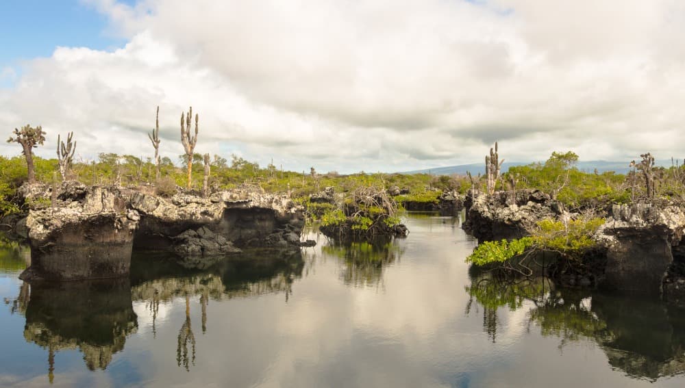 Evasione libertà alle Galápagos 8 giorni
