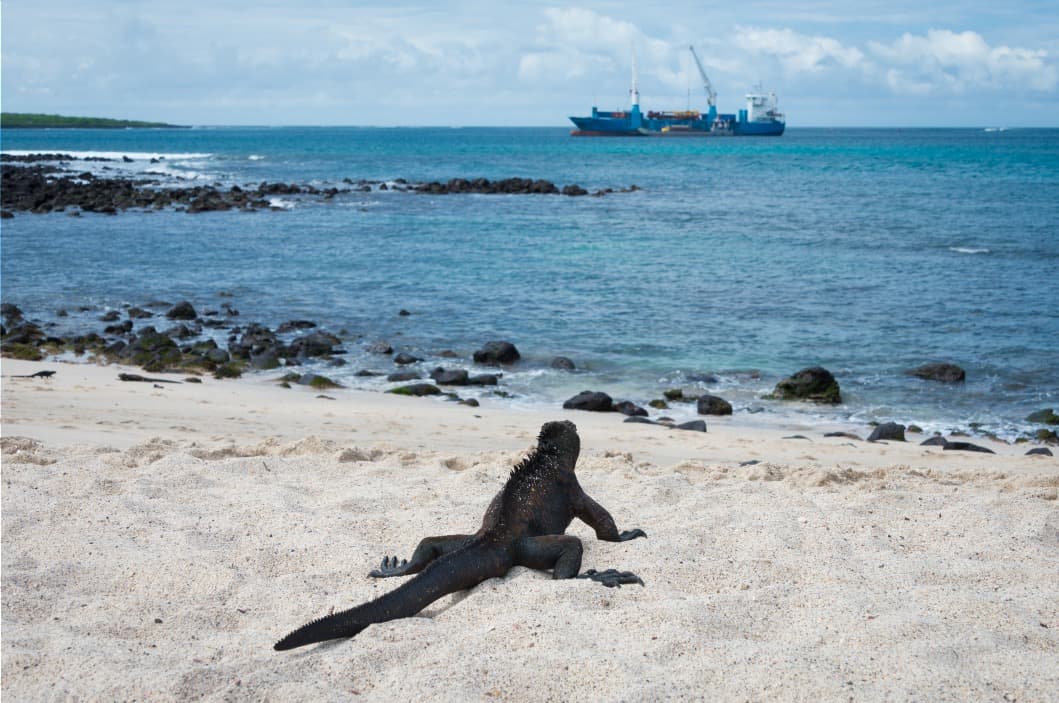 Da Santa Cruz a San Cristobal